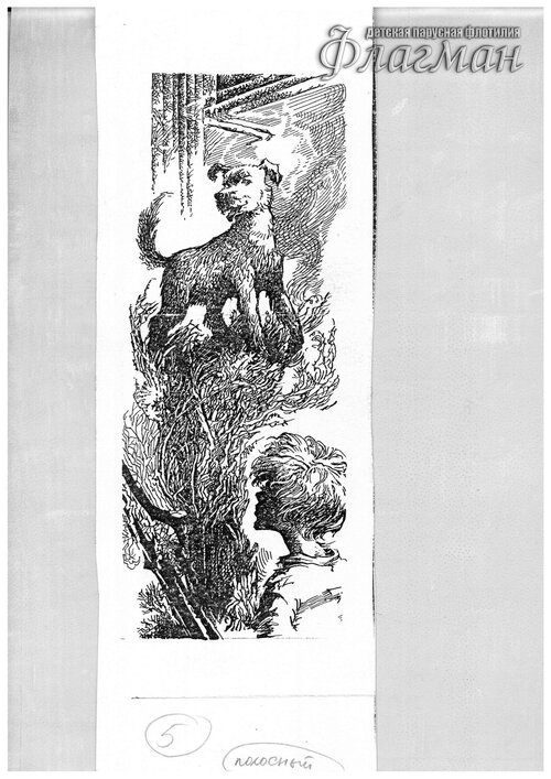 23 VPK Luzhai`ki, gde plut skvorechniki